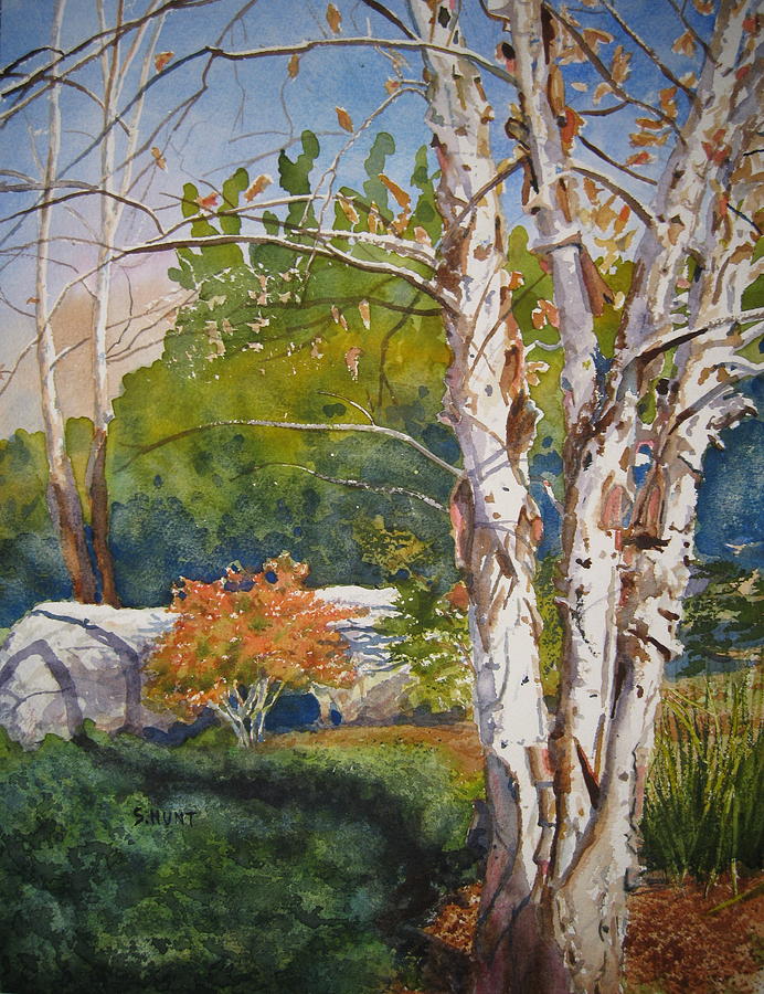 River Birch Painting by Shirley Braithwaite Hunt