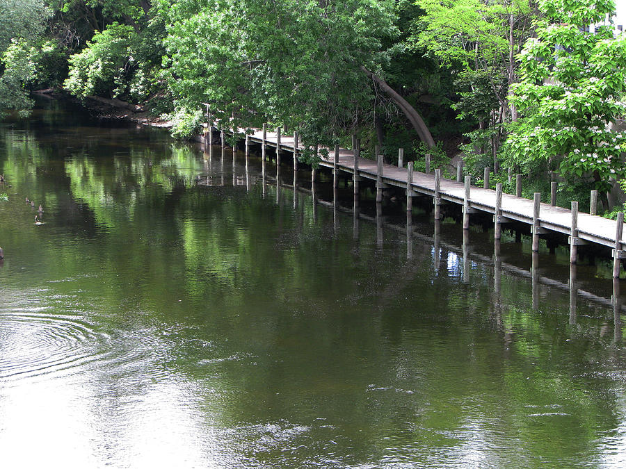 River boardwalk #4 Photograph by James Hoolsema - Fine Art America