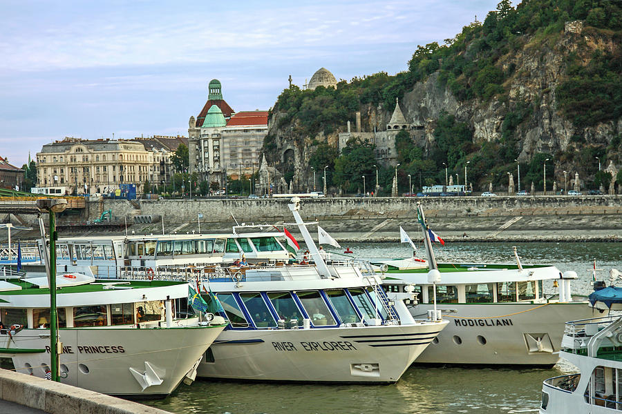 River Boats on the Danube Photograph by Sally Weigand