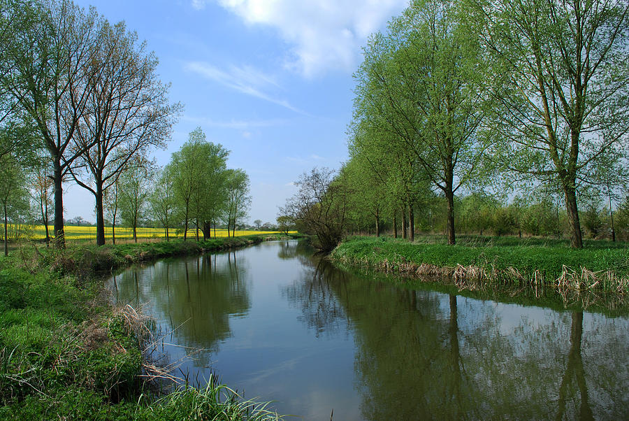 Spring Photograph - River Chelmer by Terence Davis