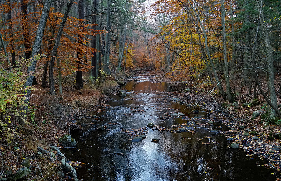 River Colors  Photograph by Jeffrey Friedkin