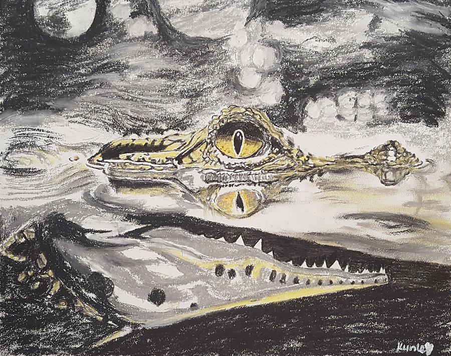 River Crocodile Drawing