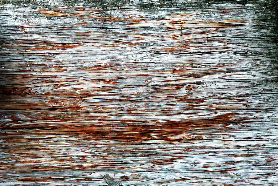 River Dock Wood Abstract Photograph by Marilyn Hunt