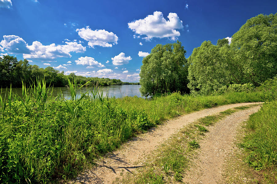 River Drava landscape and path Photograph by Brch Photography