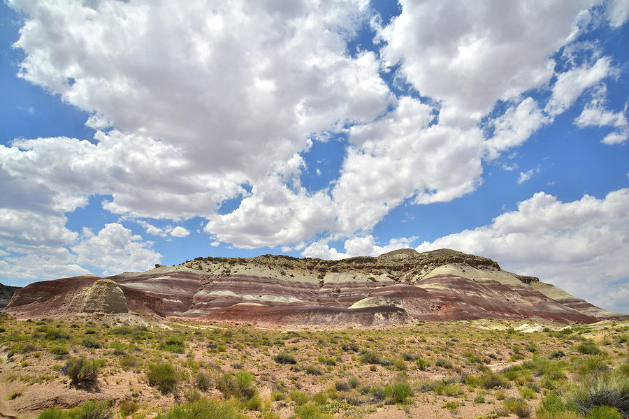 River Fjord Dunes in Capitol Reef Photograph by Ray Mathis