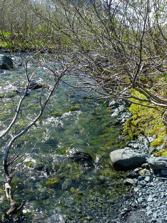 Bridge Photograph - River Flowing by Crewdson Photography Bridge Photograph - River Flowing by Crewdson Photography