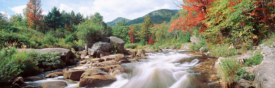 Tree Photograph - River Flowing Through Rocks, Ausable by Panoramic Images