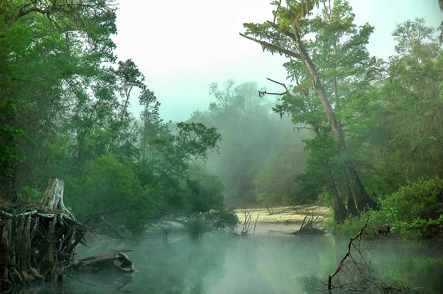 River Fog Photograph