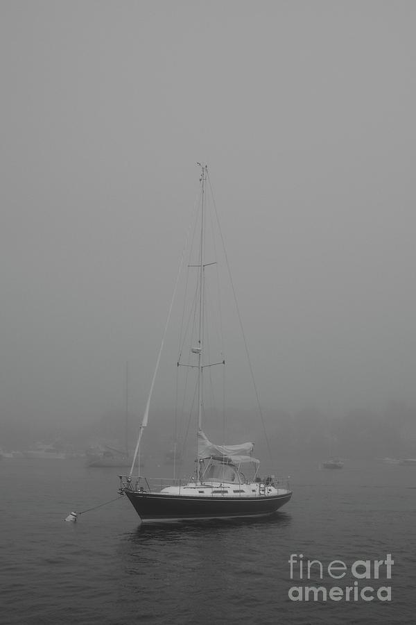 River Fog by Tom Maxwell River Fog by Tom Maxwell