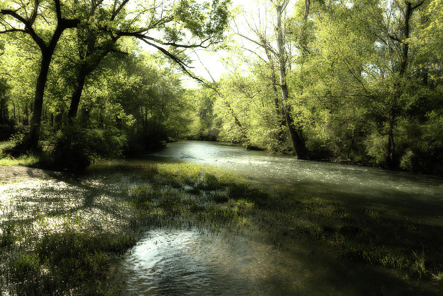 Nature Photograph - River Green by Eric Overton