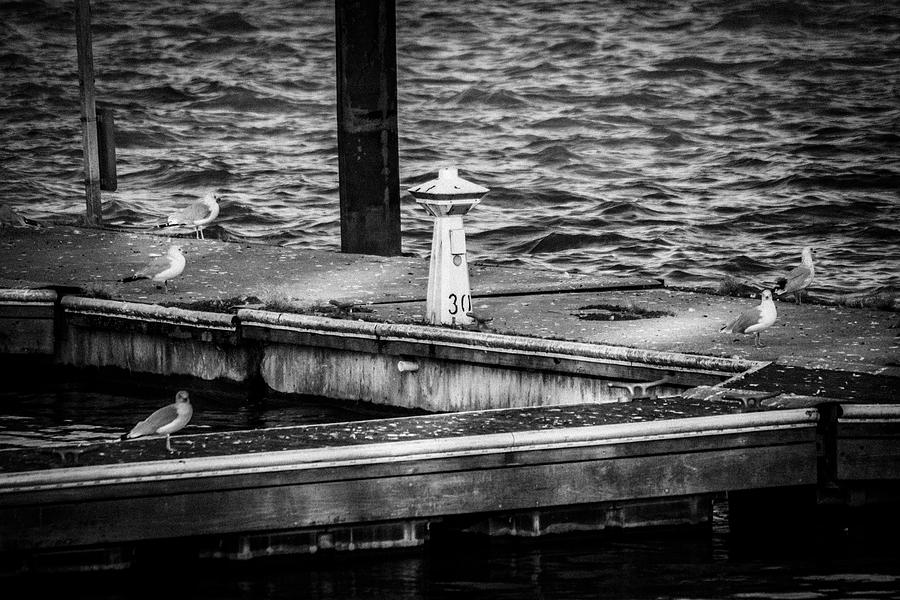 Dock 30 Photograph