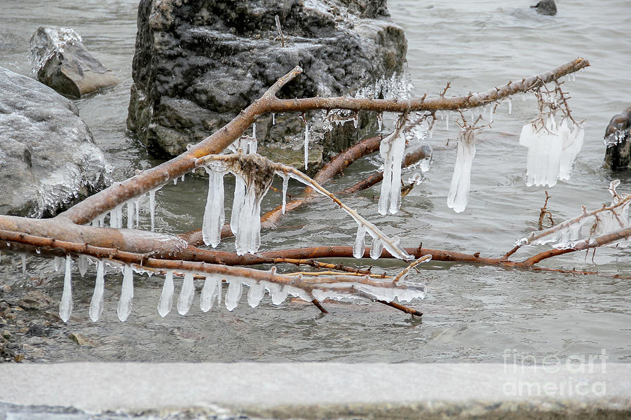 River Icicles Photograph
