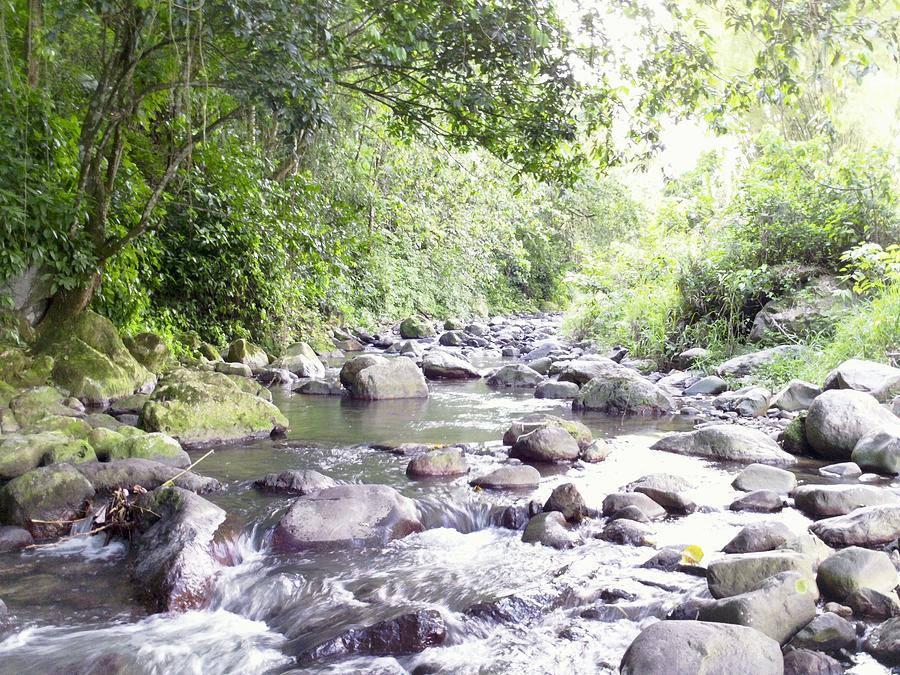 River in Adjuntas Photograph by Walter Rivera-Santos