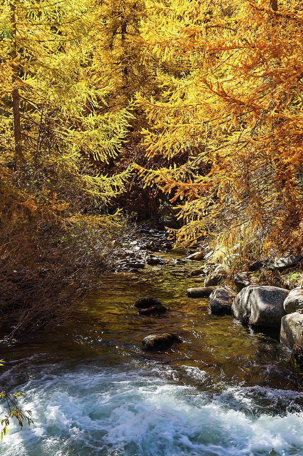 River in Autumn - French Alps Photograph by Paul MAURICE