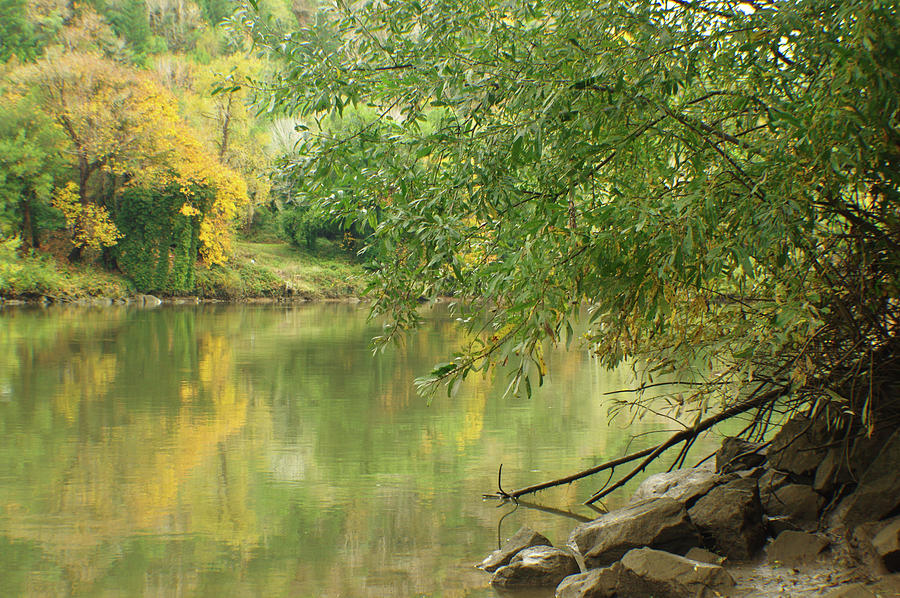 River in Fall Photograph by Adria Trail