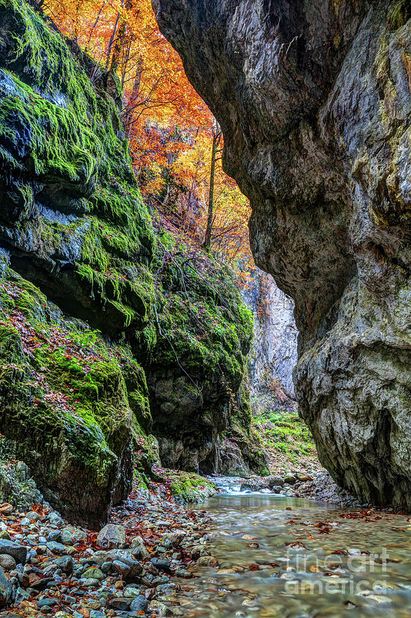 River in limestone canyon Photograph by Ragnar Lothbrok