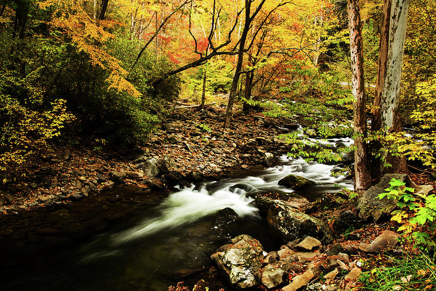 River In Smoky Mountains Tennesee In Fall Photograph by Carol Mellema ...