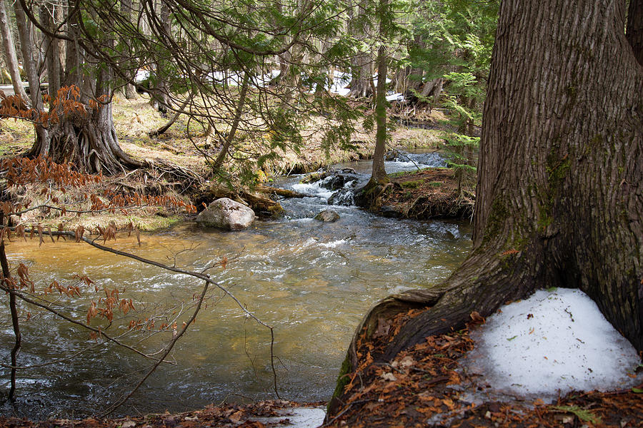 River in Spring Photograph by Linda Kerkau