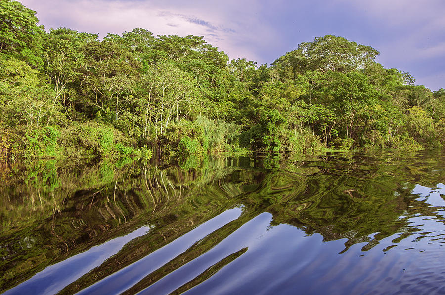 River in the Amazon Rainforest Peru Photograph by Eduardo Huelin | Fine ...