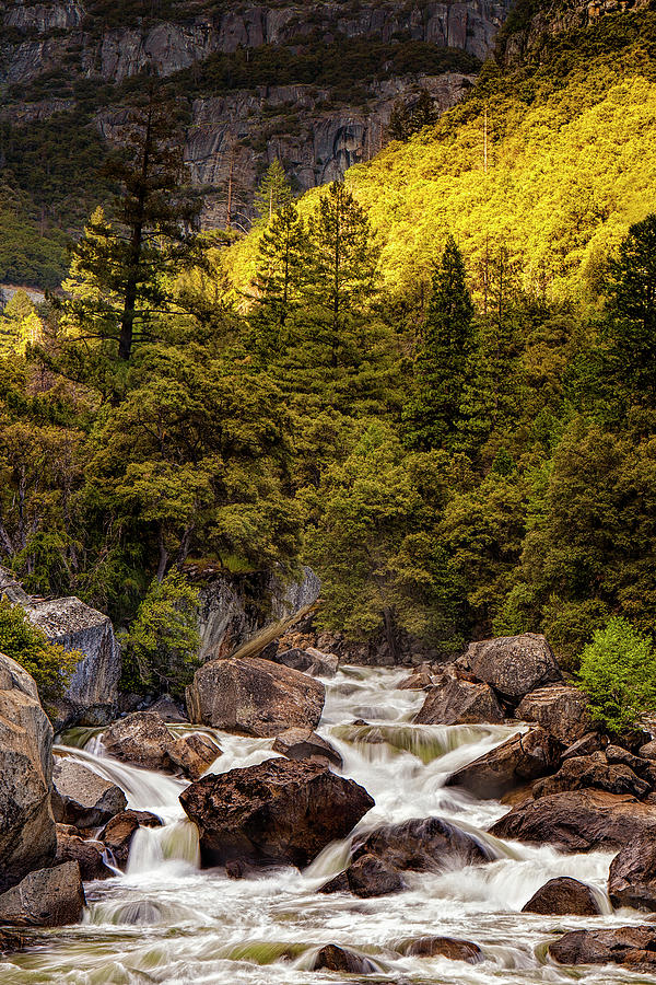 River In The Mountains Photograph