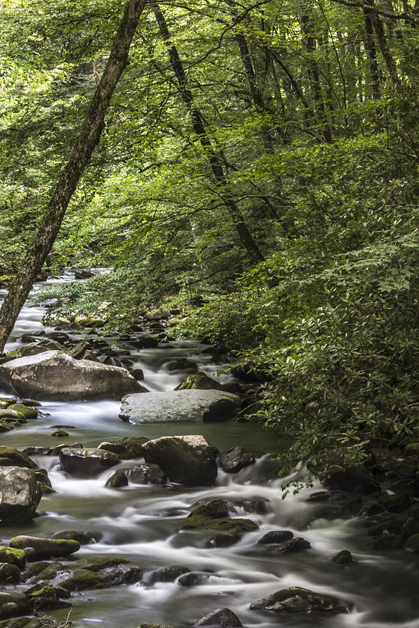 River in the Smoky Mountains  Photograph by John McGraw