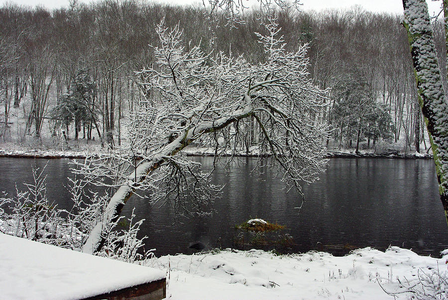 Winter Photograph - River In The Winter by Alice Markham