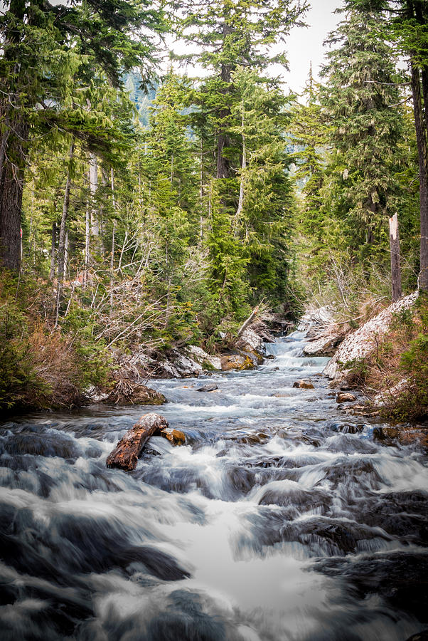 River in Washington Photograph by Jenifer Kim - Fine Art America