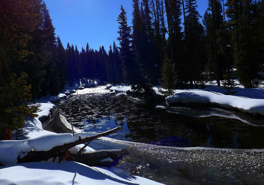 River in Winter Photograph by C Sitton