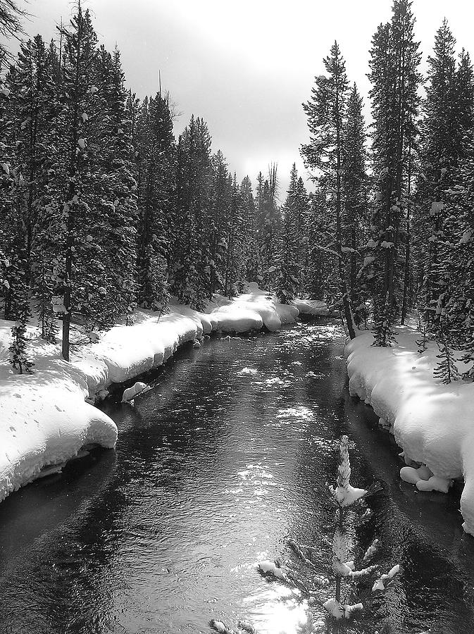 River in Yellowstone Photograph by Pat Moore