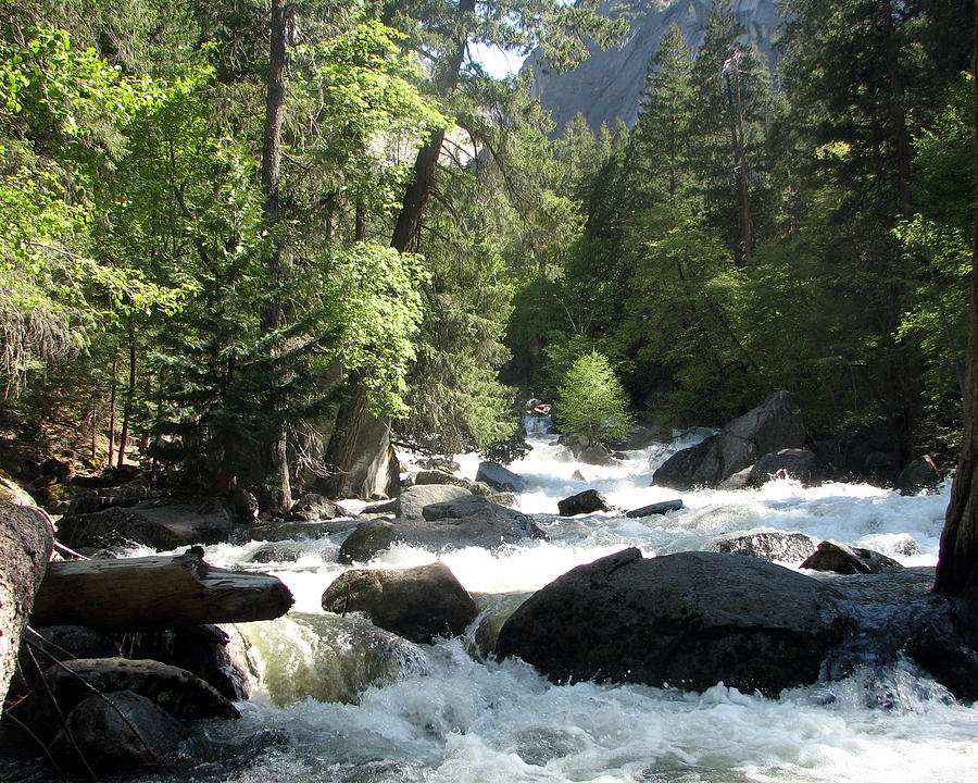 River In Yosemite Photograph By Paul Schneider 