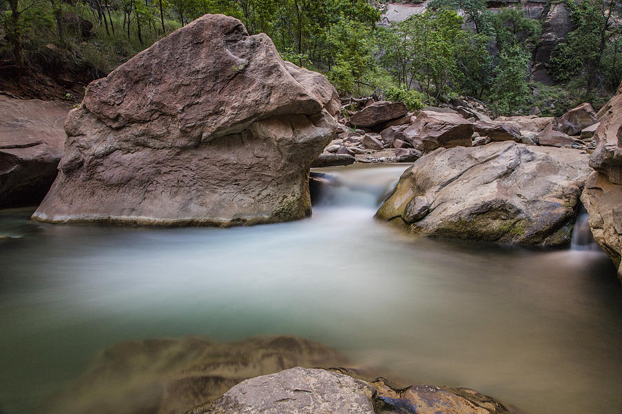River in Zion National Park Photograph by John McGraw