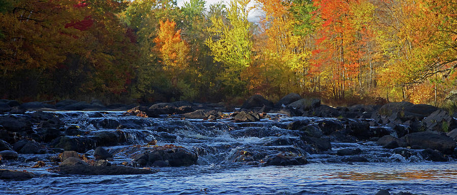 Fall Photograph - River by Jerry LoFaro