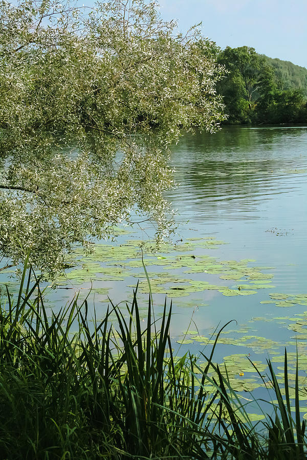 River Landscape In Blue Green Tones Photograph