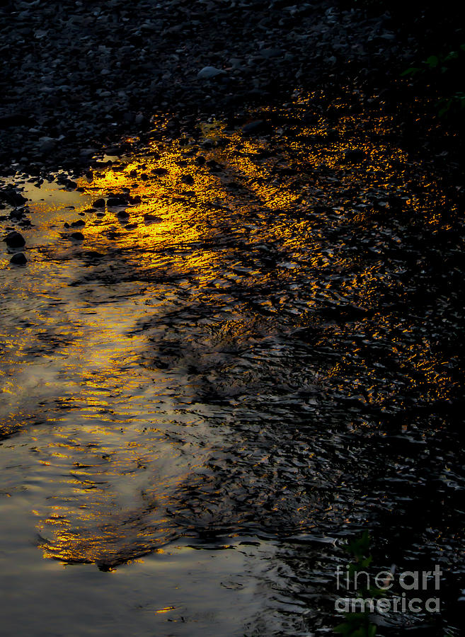 Sunset Photograph - River Light by James Aiken
