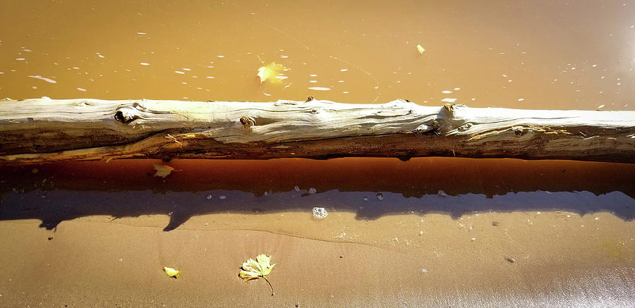River Log Photograph by Brian Wimmer