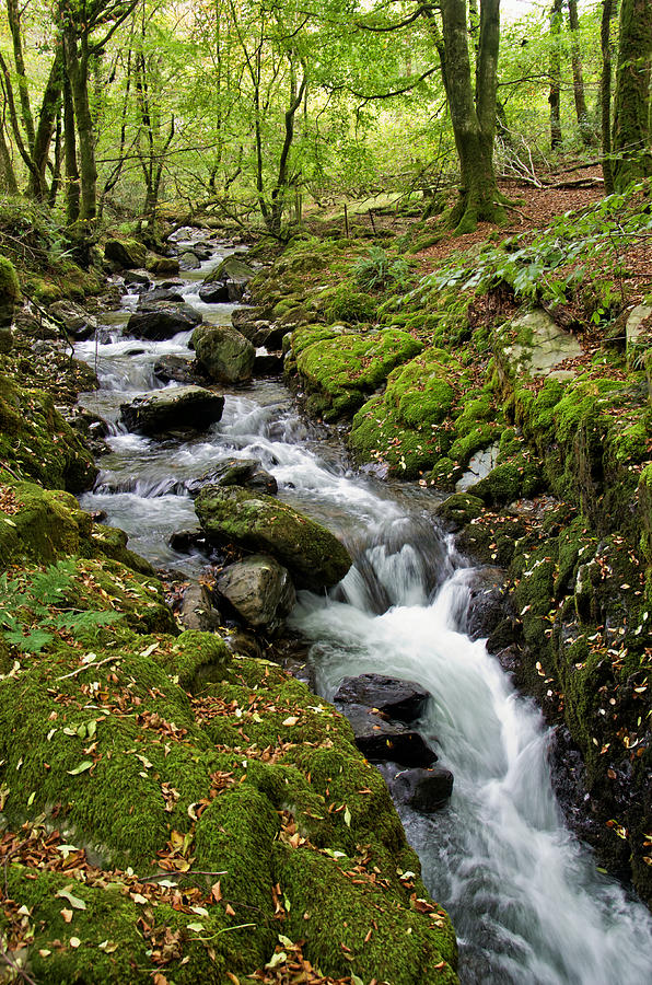 River Lyd on Dartmoor Photograph by Pete Hemington