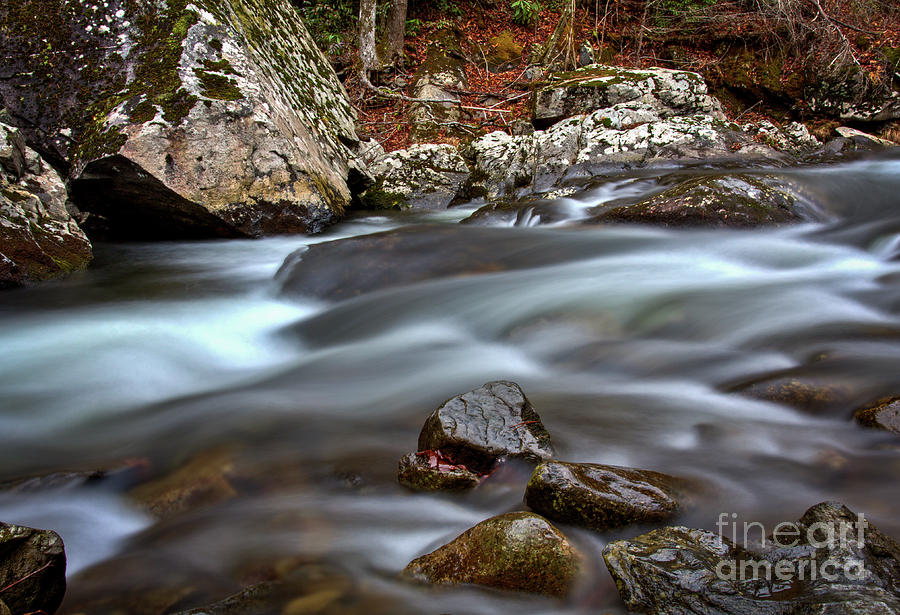River Magic Photograph by Douglas Stucky