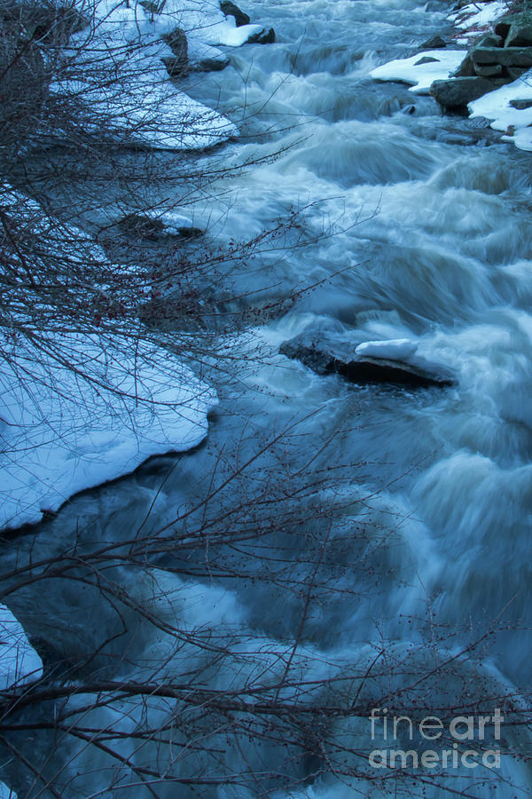 River Photograph by Mim White