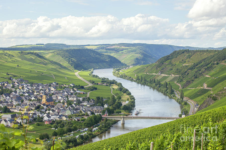 River Mosel and vineyards Photograph by Patricia Hofmeester