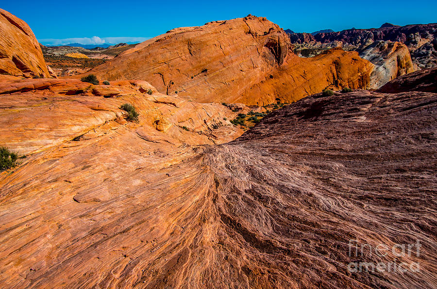 Valley Of Fire Photograph - River of Erosion by Stephen Whalen