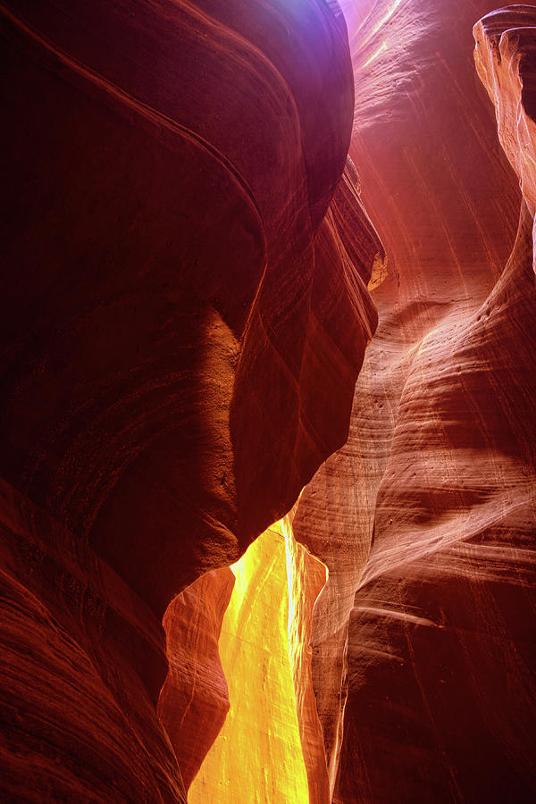 Antelope Canyon Photograph - River of Gold by Lucinda Walter