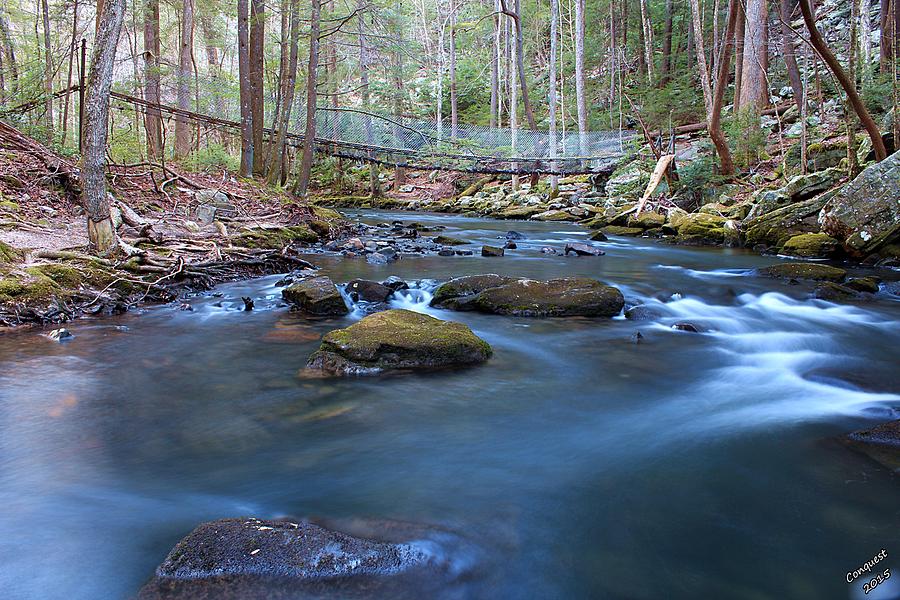 River of Life Photograph by Gary Conquest - Fine Art America