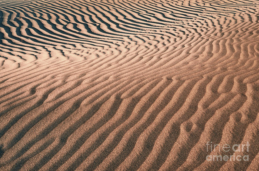 River of Sand - Death Valley Photograph by Sandra Bronstein