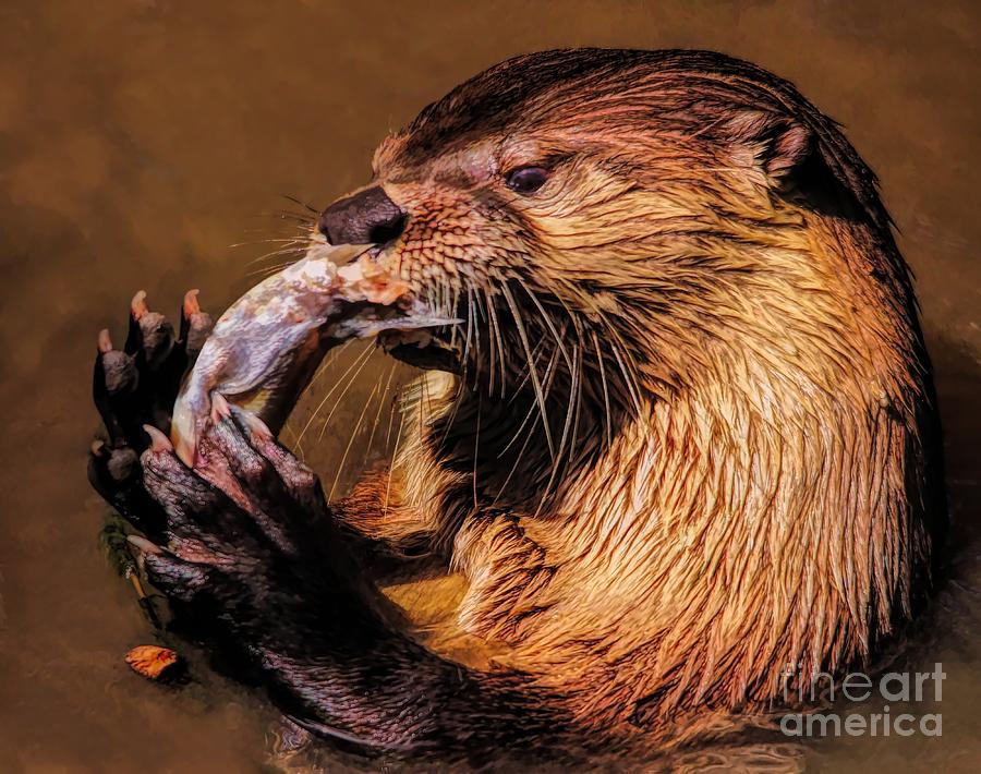 River Otter With His Catch Of The Day Photograph by Paulette Thomas ...