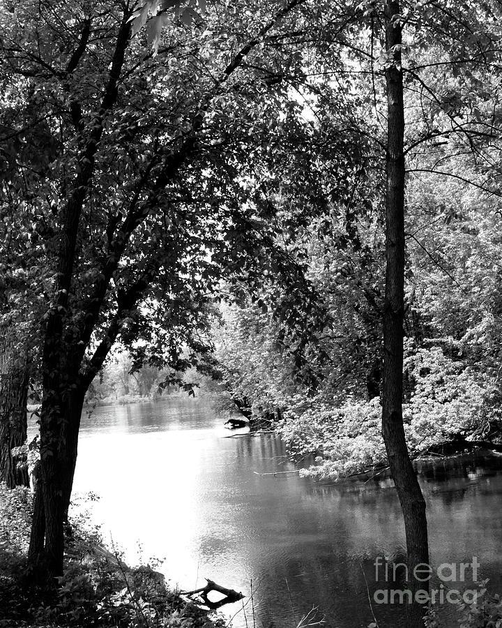 Tree Photograph - River Passage through trees by Paula Joy Welter