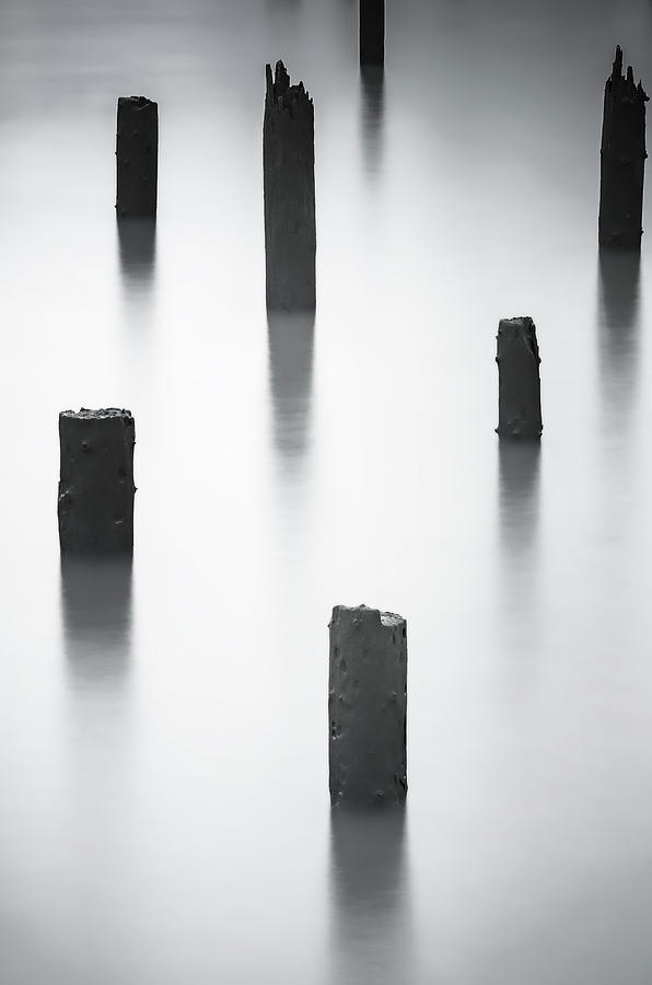 River Pilings Photograph by Don Schwartz