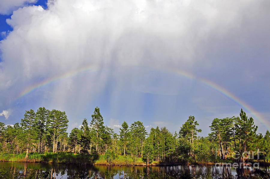 River Rainbow Photograph by Al Powell Photography USA
