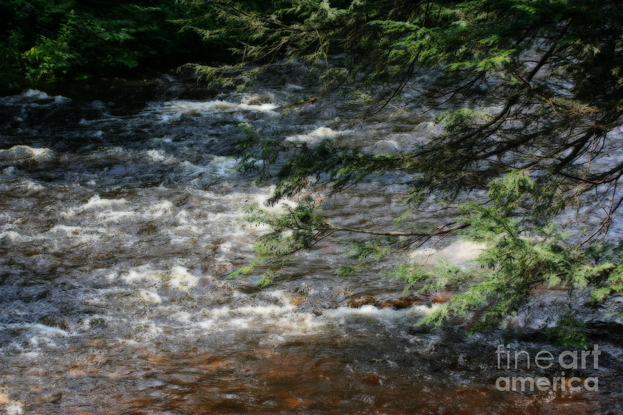 River Rapids Through Pine Photograph by Smilin Eyes Treasures