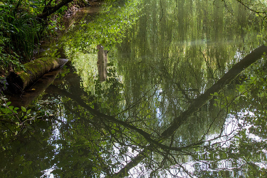 River Reflections Photograph by Clare Bambers