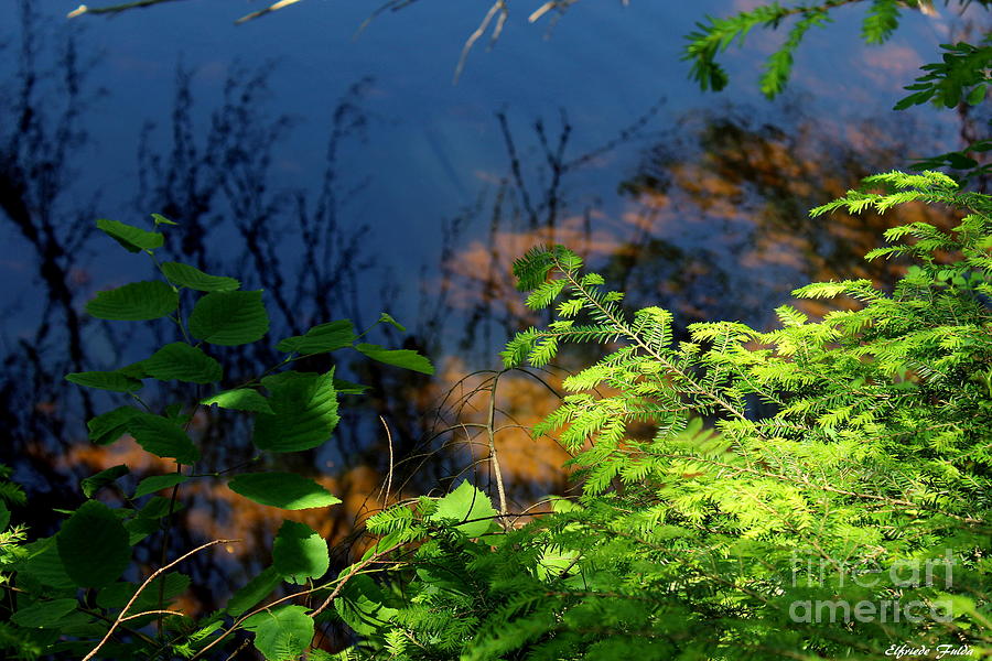 River Reflections Photograph by Elfriede Fulda